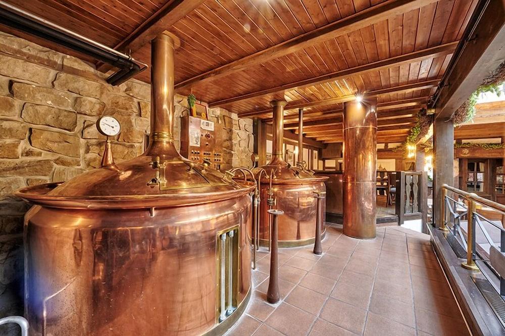 Brauhaus Zum Loewen Hotel Mühlhausen Kültér fotó